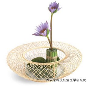 如何提前预防牛皮癣 如何提前预防牛皮癣