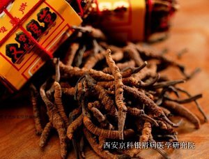 治牛皮癣偏方 治牛皮癣偏方